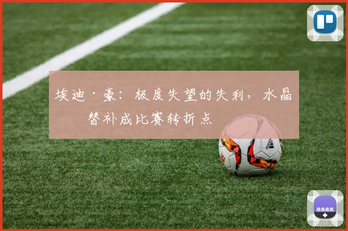 埃迪·豪：极度失望的失利，水晶宫替补成比赛转折点